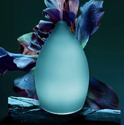 IRIDESCENT AURA DIFFUSER