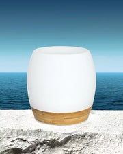 Zen Aura Diffuser