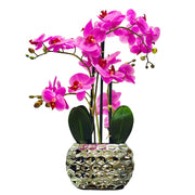 PINK ORCHID IN POT 58CM