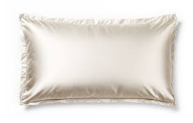 Cotton Co Silk Pillow Case